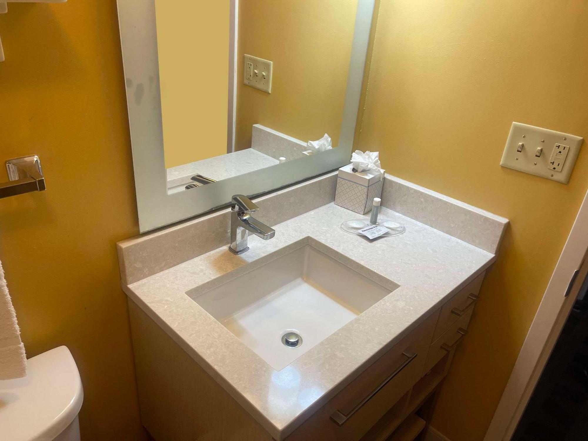 Mainstay Suites Tampa Moffitt-Usf Temple Terrace Ngoại thất bức ảnh