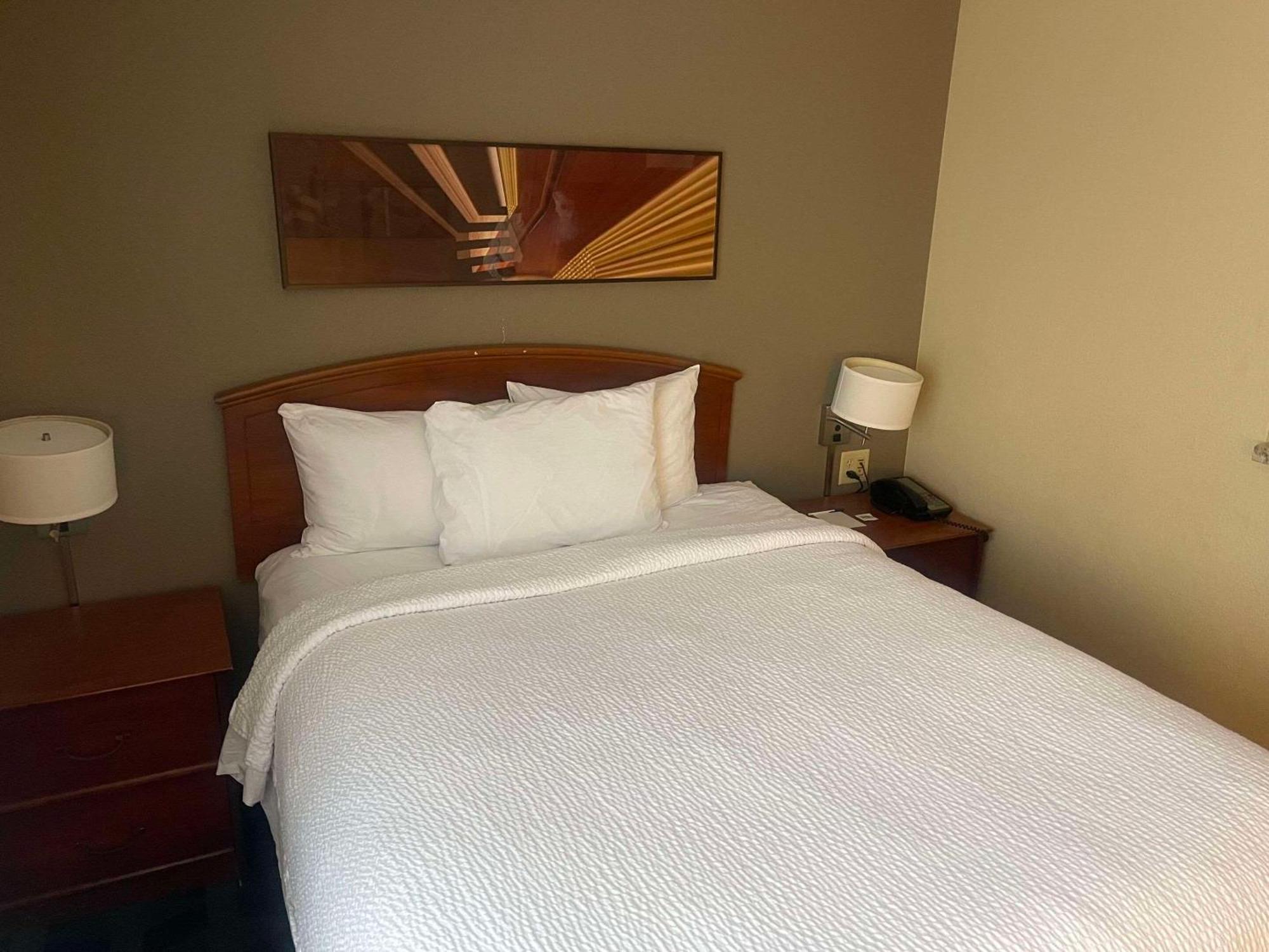 Mainstay Suites Tampa Moffitt-Usf Temple Terrace Ngoại thất bức ảnh