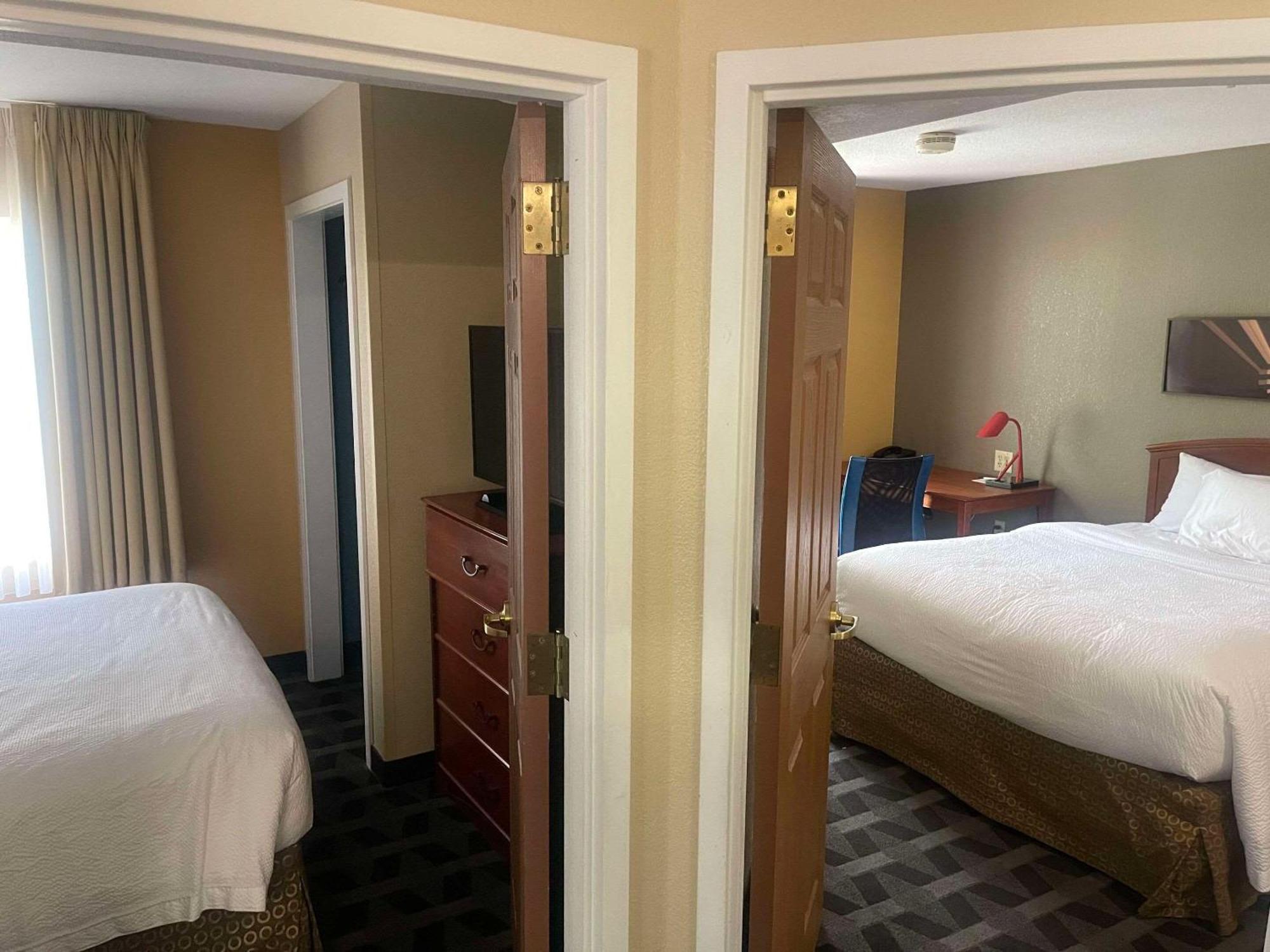 Mainstay Suites Tampa Moffitt-Usf Temple Terrace Ngoại thất bức ảnh